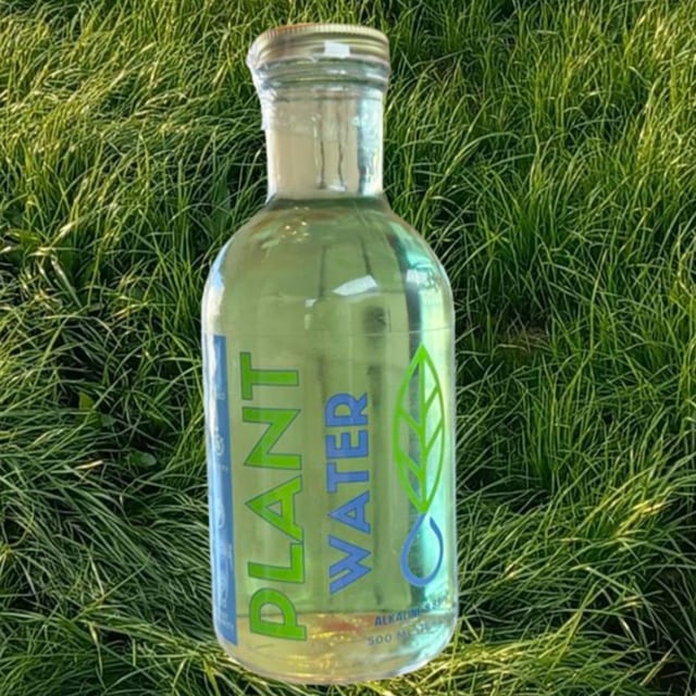 Plant Water.